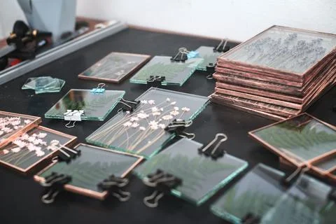 Tools and materials for making postcards and paintings from dried plants Stock Photos