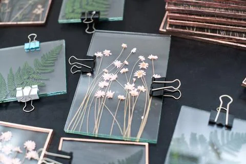 Tools and materials for making postcards and paintings from dried plants Stock Photos