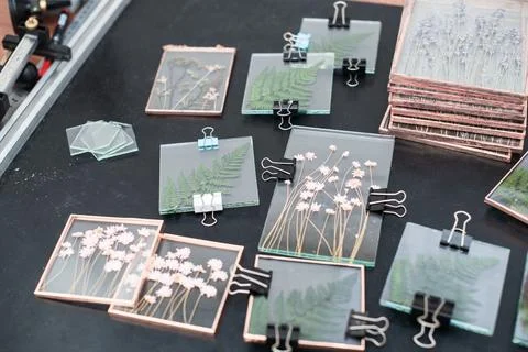 Tools and materials for making postcards and paintings from dried plants Stock Photos