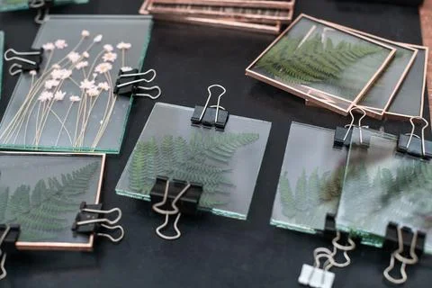 Tools and materials for making postcards and paintings from dried plants Stock Photos