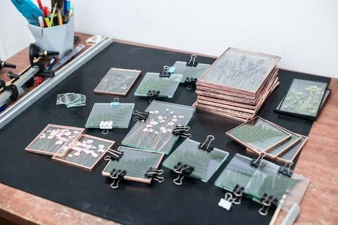 Tools and materials for making postcards and paintings from dried plants Stock Photos