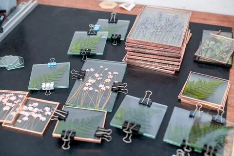 Tools and materials for making postcards and paintings from dried plants Stock Photos