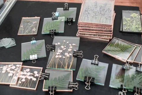 Tools and materials for making postcards and paintings from dried plants Stock Photos