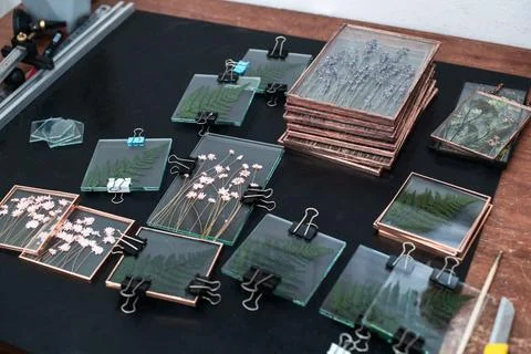 Tools and materials for making postcards and paintings from dried plants Stock Photos