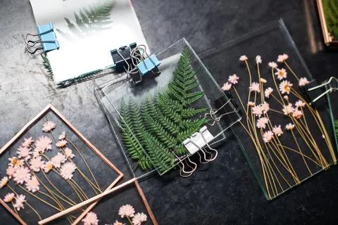 Tools and materials for making postcards and paintings from dried plants Stock Photos