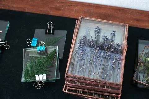 Tools and materials for making postcards and paintings from dried plants Stock Photos