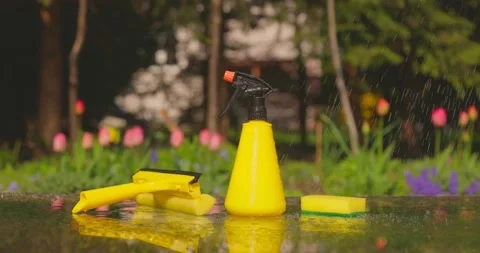 Tools for cleaning windows against a background of a spring garden. Housework Stock Footage 190944456