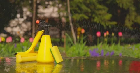 Tools for cleaning windows against a background of a spring garden. Housework Stock Footage 195994853