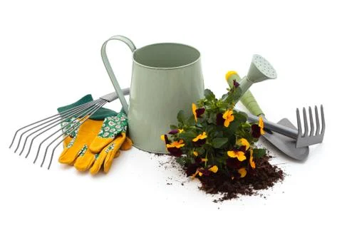 Tools for gardening. Stock Photos