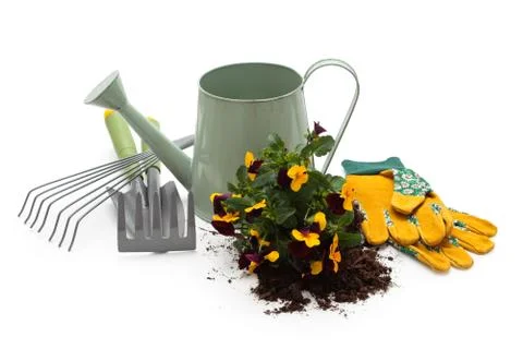 Tools for gardening. Stock Photos