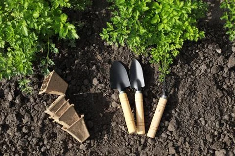 Tools for growing on the ground in the garden Stock Photos