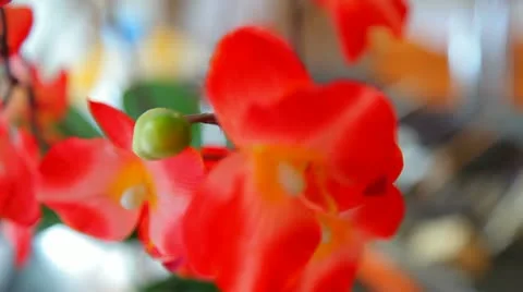 Tools for makeup Stock Footage 10897393