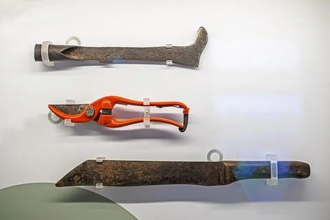 Tools for plucking and processing ripe chocolate beans Foto stock