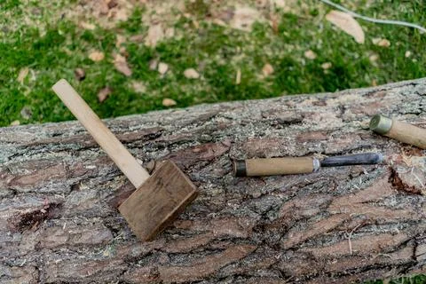 Tools for wood processing and artistic cutting, chisels and chisels. Stock Photos