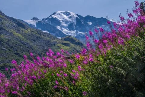 Toolshed brunet,valais,swiss Stock Photos