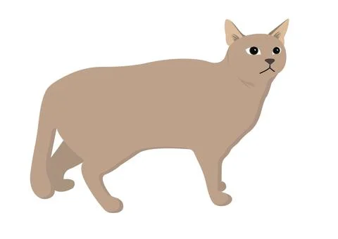 Toon Character Stock Illustration