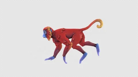 Toon character monkey idle 2 Stock Footage 323219530