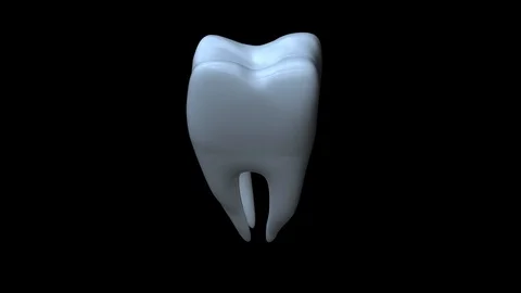 Tooth  alpha loop Vidéo 95689271