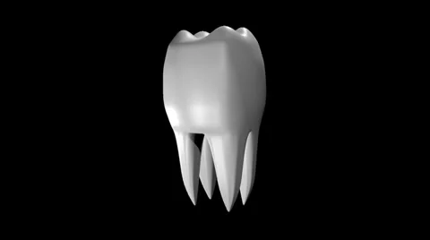 TOOTH ANIMATION WITH ALPHA KEY Stock Footage 34435952