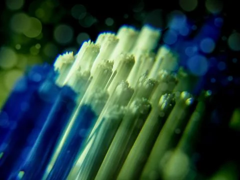 The tooth brush Stock Photos
