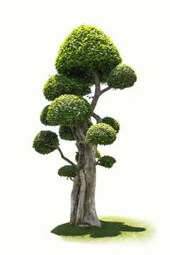 Tooth brush tree Stock Illustration