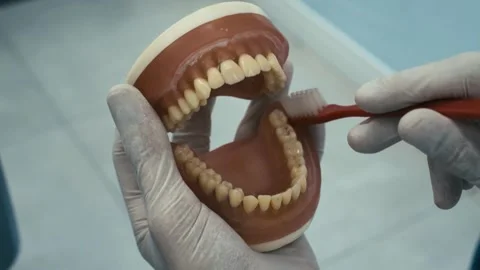 Tooth brushing demonstration Stock Footage 340034681