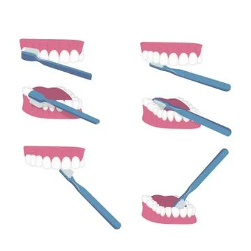 Tooth brushing Stock Illustration