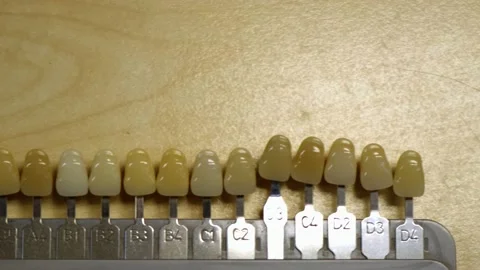 Tooth color options for ceramic mass Stock Footage 212145232
