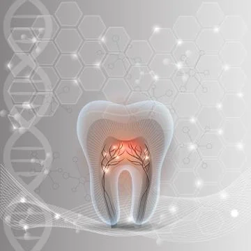 Tooth cross section abstract design Stock Illustration