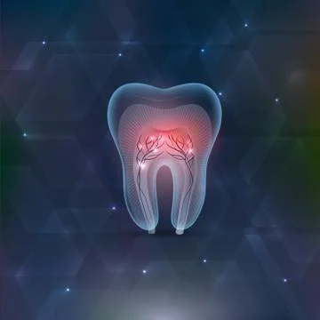Tooth cross section abstract design Stock Illustration