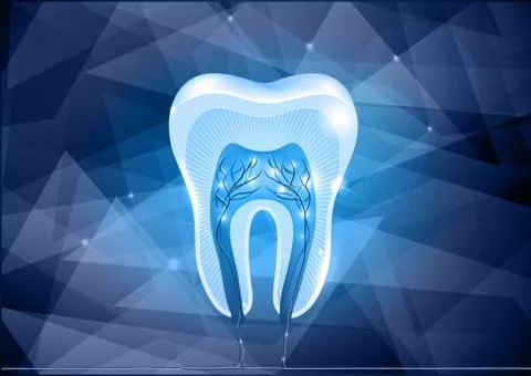 Tooth cross section design Stock Illustration