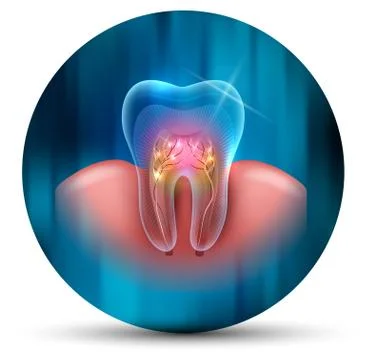 Tooth cross section scientific modern design icon Stock Illustration