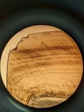 Tooth cross section showing enamel dentin junction with curved growth Stock Photos