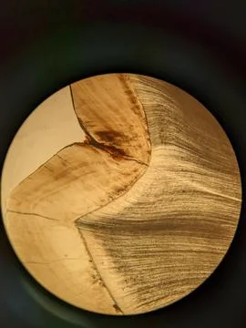 Tooth cross section viewed under polarized light microscope showing enamel .. Stock Photos