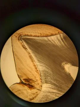Tooth cross section viewed under polarized light microscope showing enamel .. Stock Photos