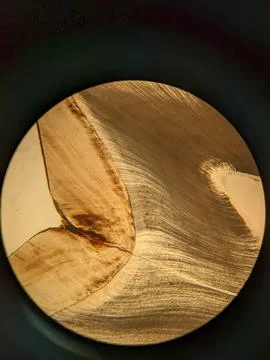 Tooth cross section viewed under polarized light microscope showing enamel .. Stock Photos