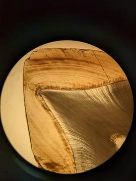 Tooth cross section viewed under polarized light microscope showing enamel .. Stock Photos
