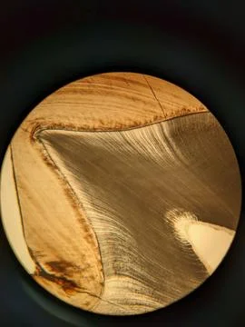 Tooth cross section viewed under polarized light microscope showing enamel .. Stock Photos