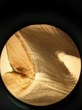 Tooth cross section viewed under polarized light microscope showing enamel .. Stock Photos