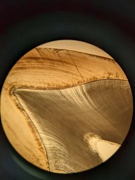 Tooth cross section viewed under polarized light microscope showing enamel .. Stock Photos