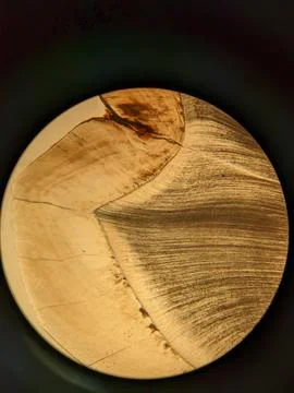 Tooth cross section viewed under polarized light microscope showing enamel .. Stock Photos