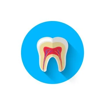 Tooth in the cut icon is isolated in a flat design style vector illustration Illustrazione stock