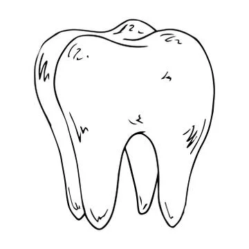 Tooth icon. Vector illustration of a healthy, shiny tooth. Stock Illustration
