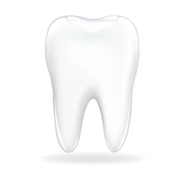 Tooth Stock Illustration