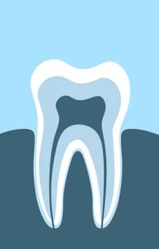 The tooth Stock Illustration