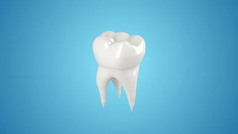 Tooth Loop 3D Animation 库存影片 168766990