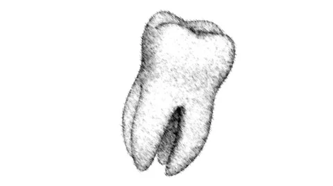 Tooth. Looping. Video stock 37925875