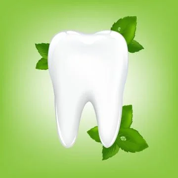 Tooth with mint Stock Illustration