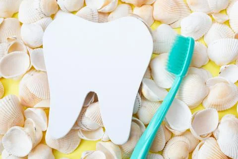 Tooth model, toothbrush and seashells. Yellow background. Flat lay. Top view Stock Photos
