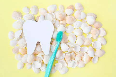 Tooth model, toothbrush and seashells. Yellow background. Flat lay. Top view Stock Photos